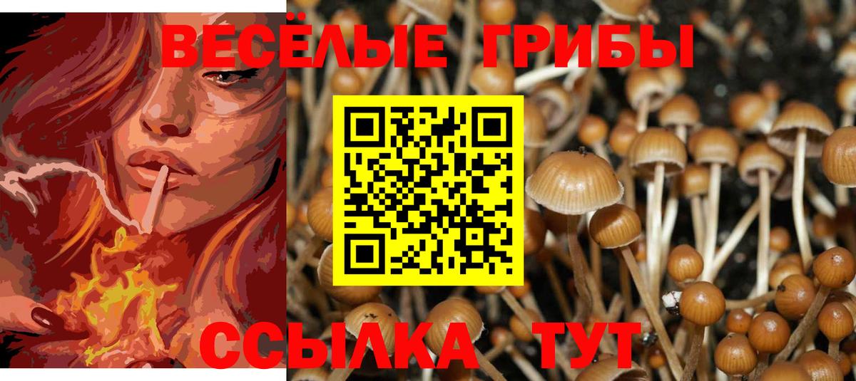 Псилоцибиновые грибы Cubensis  где продают наркотики  Саяногорск  Вход с VPN 
